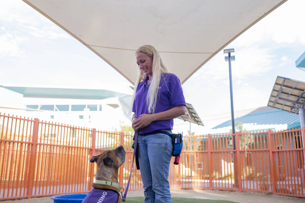 Nicole Fox, an enrichment specialist for the Animal Foundation, trains Louie, an eight-year-old ...