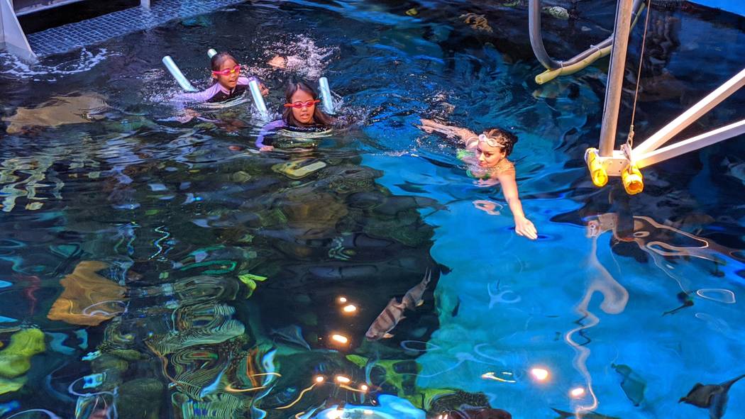Elyssa Ramos, 9, left, and Leann Ramos, 12, learn from mermaid Logan Halverson on Nov. 9 at the ...
