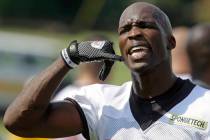 Former Cincinnati Bengals receiver Chad Ochocinco acknowledges a fan during their first practic ...
