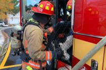 A Las Vegas Fire Department firefighter helps two cats after an attic fire in the northwest val ...