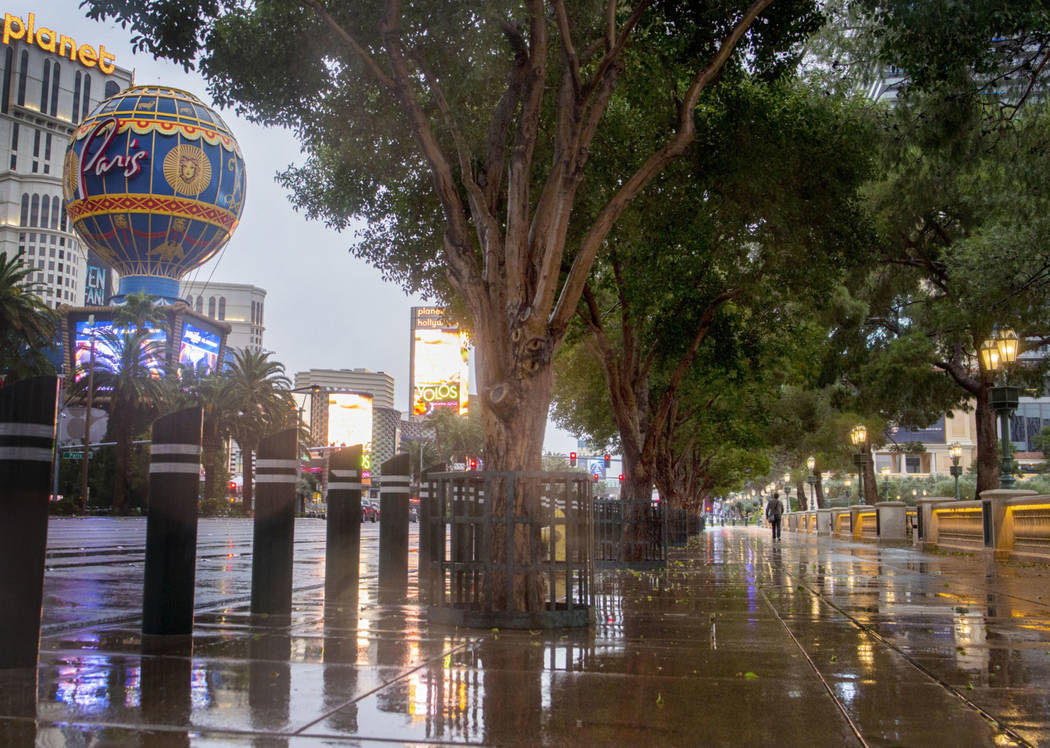 Rain falls on the Strip in Las Vegas on Wednesday Nov. 20, 2019. (Elizabeth Page Brumley/Las Ve ...