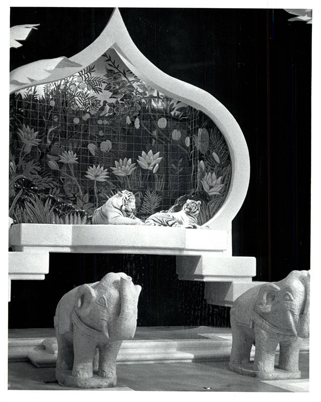 White tigers in repose on their throne in their own habitat at The Mirage. (Wayne Kodey / Las V ...