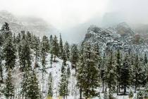 The Thanksgiving week forecast calls for 8 to 25 inches of snow possible above 4,000 feet in th ...