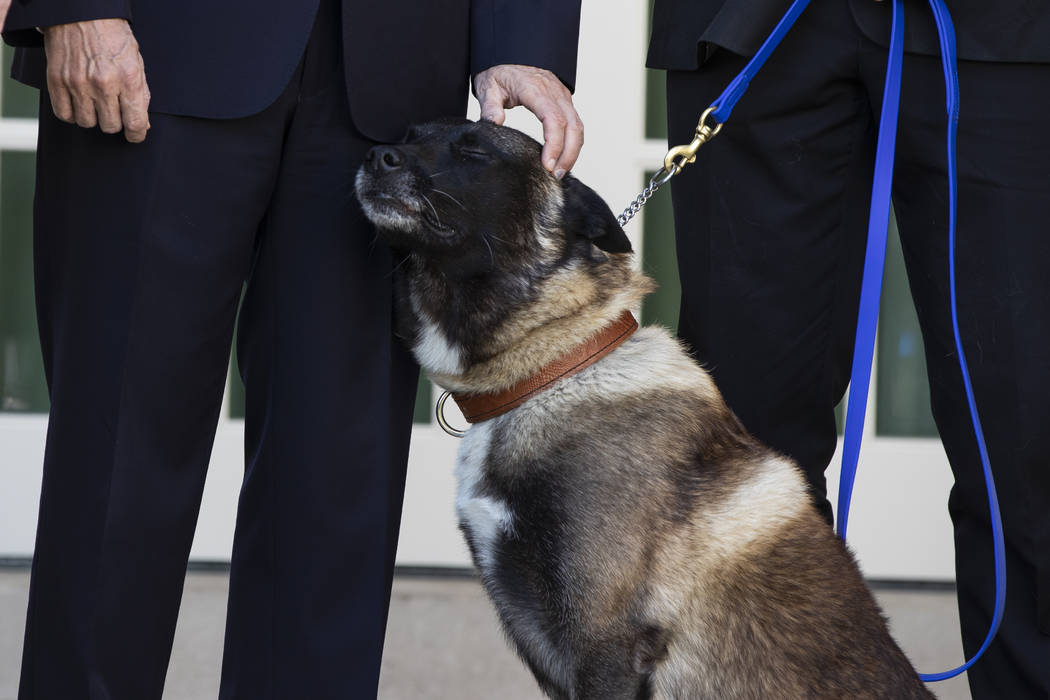 Vice President Mike Pence pets Conan, the U.S. Army dog that participated in the raid that kill ...