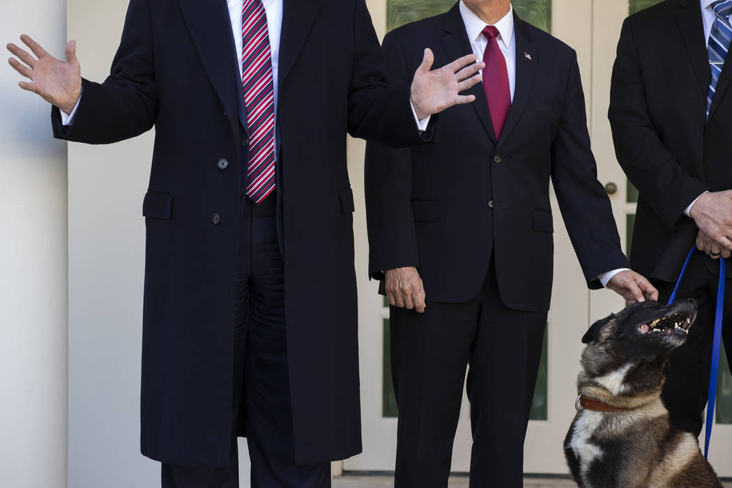 President Donald Trump and Vice President Mike Pence stand with Conan, the U.S. Army dog that p ...