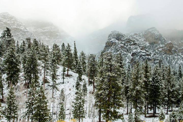 The Thanksgiving week forecast calls for 8 to 25 inches of snow possible above 4,000 feet in th ...
