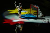 Vegas Golden Knights goaltender Marc-Andre Fleury (29) stands amongst flowers on the ice during ...