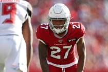 Arizona Cardinals cornerback Kevin Peterson (27) lines up against the Tampa Bay Buccaneers duri ...