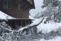 A snowstorm made life miserable for workers and visitors at the Grand Canyon Village on the Sou ...