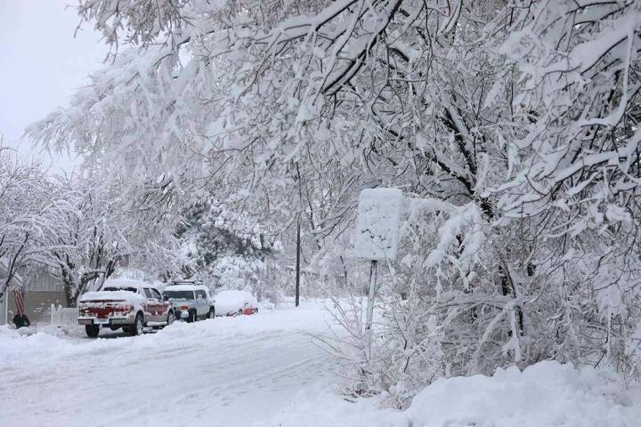 Street signs are covered in snow in north Flagstaff, Ariz., Friday, Nov. 29, 2019. A powerful s ...