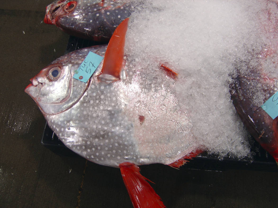 (The Associated Press)