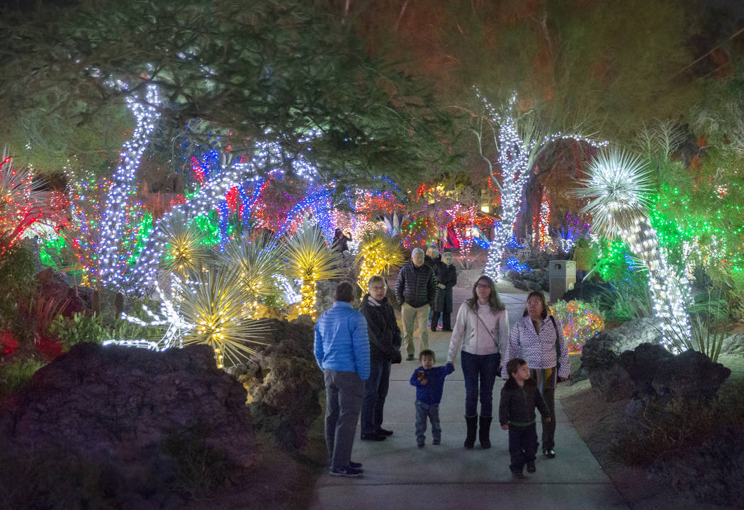 Holiday goers enjoy the lights at Ethel M Chocolates Botanical Cactus Garden on Monday, Novembe ...