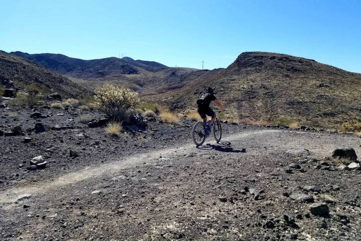 The McCullough Hills Trail caters to mountain bikers and horse riders as well as hikers. (Natal ...