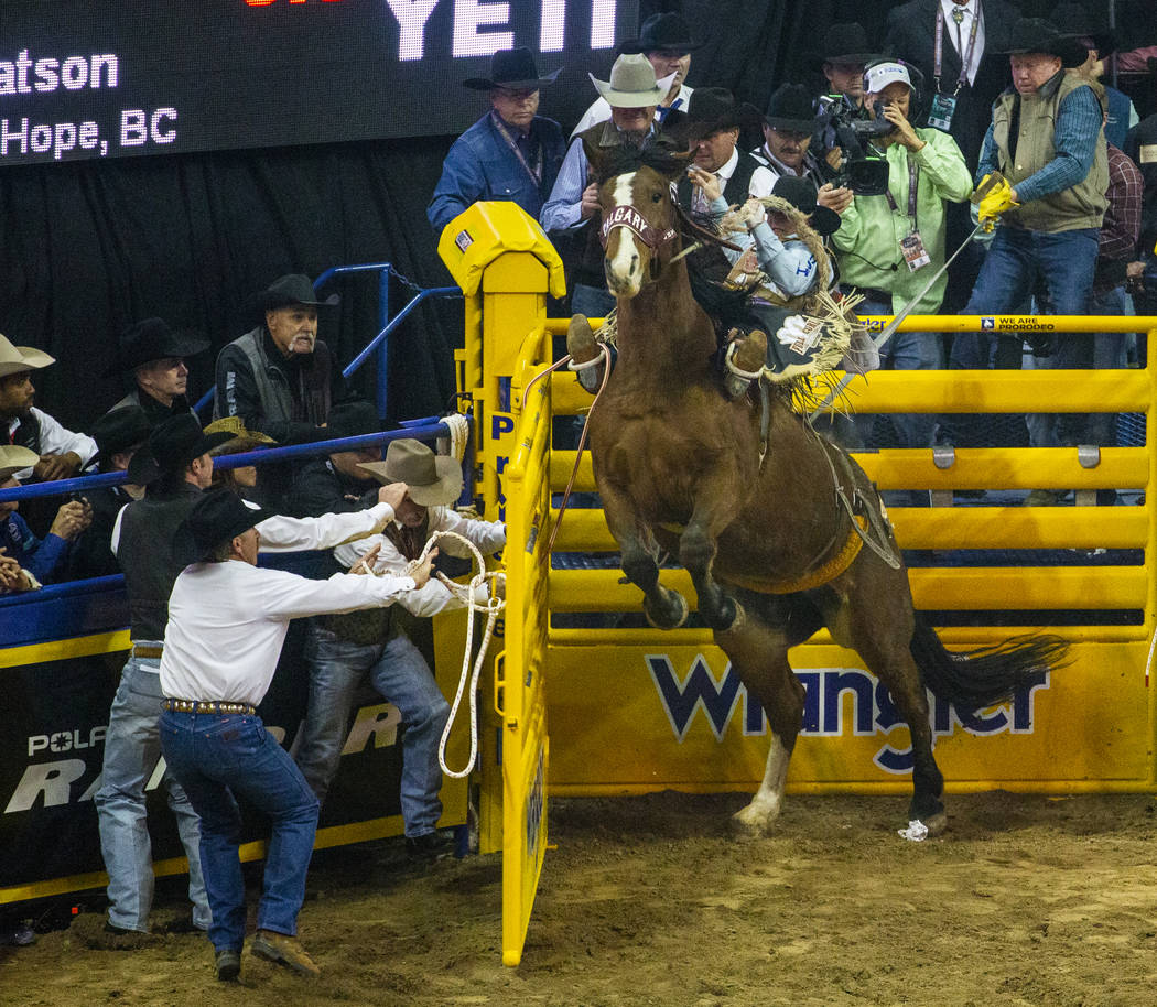 Jake Watson of Hudson Hope, British Columbia, gets up on Xena Warrior while still in the stall ...