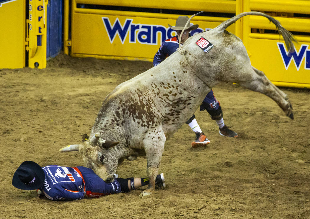 A bullfighter is driven into the dirt by Red Harvest in Bull Riding during the fourth go round ...