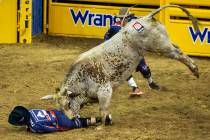 A bullfighter is driven into the dirt by Red Harvest in Bull Riding during the fourth go round ...
