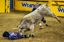 A bullfighter is driven into the dirt by Red Harvest in Bull Riding during the fourth go round ...