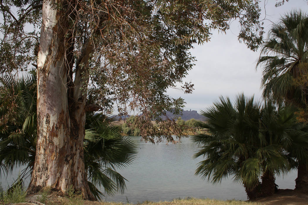 The smooth waters of the Colorado River can be found below the Parker Dam. (Deborah Wall/Las Ve ...