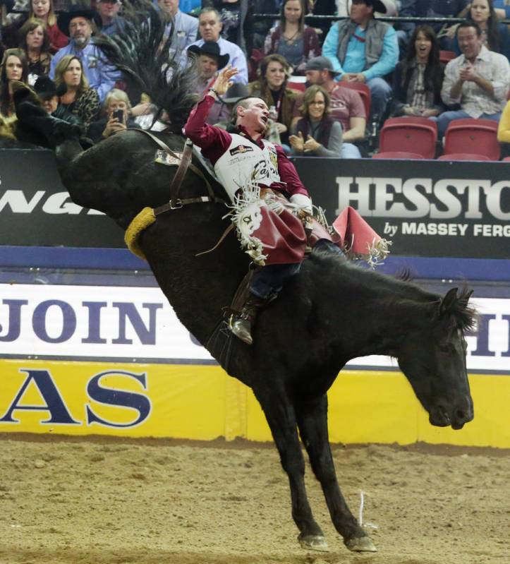 Tim O'Connell of Zwingle, Iowa rides Nutrena's Bad Influence during Bareback Riding in the eigh ...