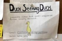 An advertisement for a single duck seeking a partner is seen on a bulletin board at the Blue Hi ...