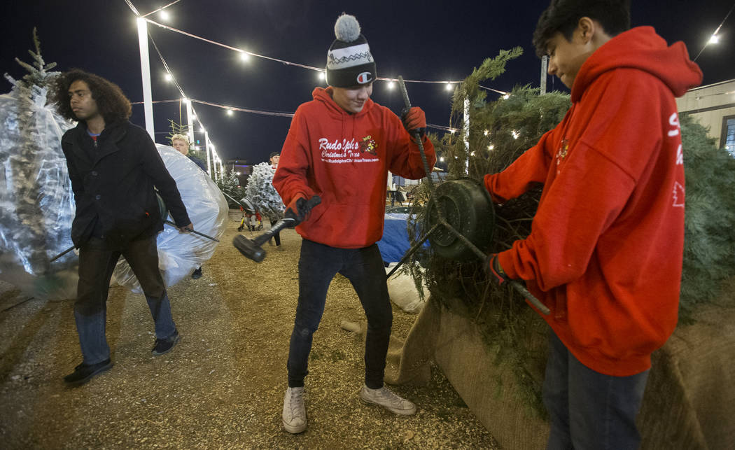 Phoenix Dante, middle, and Lincoln Shorter, right, prepare a Christmas tree on Wednesday, Dec. ...