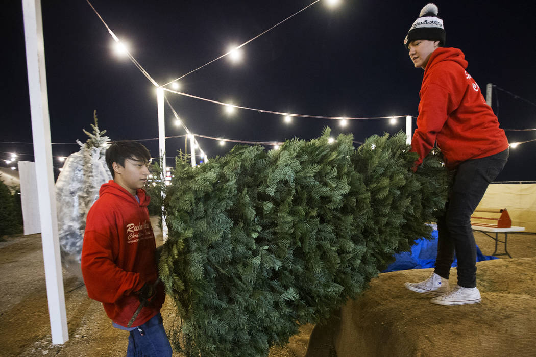 Lincoln Shorter, left, and Phoenix Dante carry a newly bought Christmas tree to a customers car ...