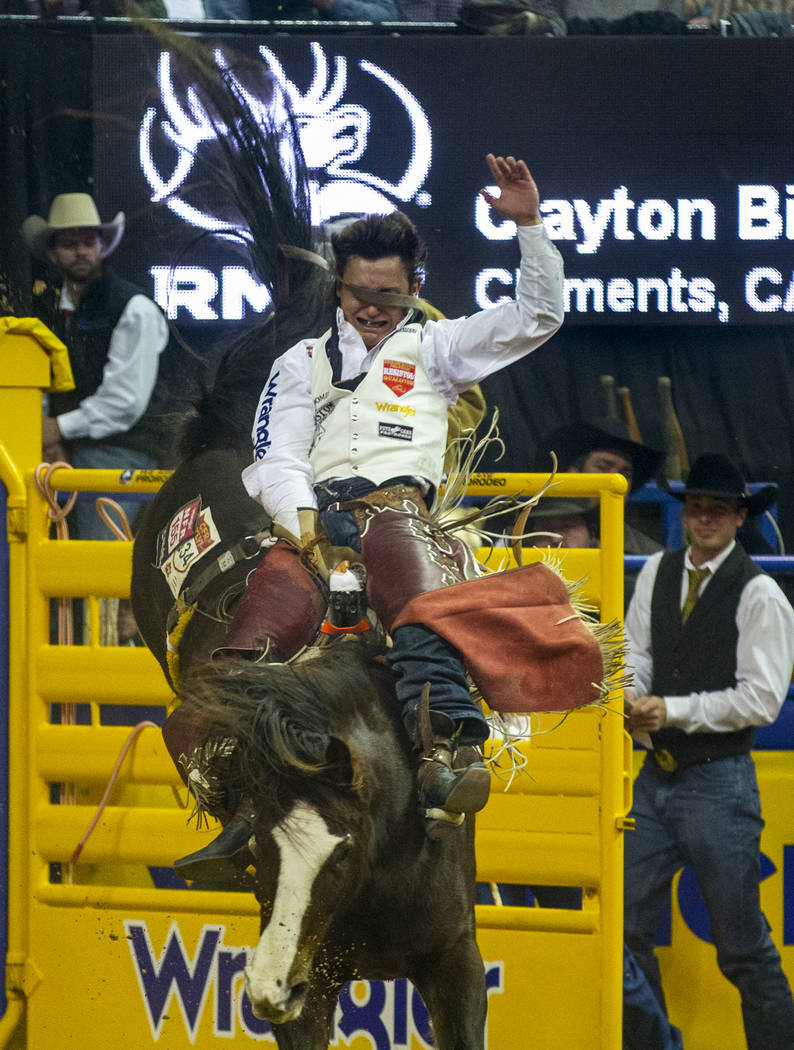 Clayton Biglow of Clements, Calif., gets a strap to the face while riding Stevie Knicks to a fi ...