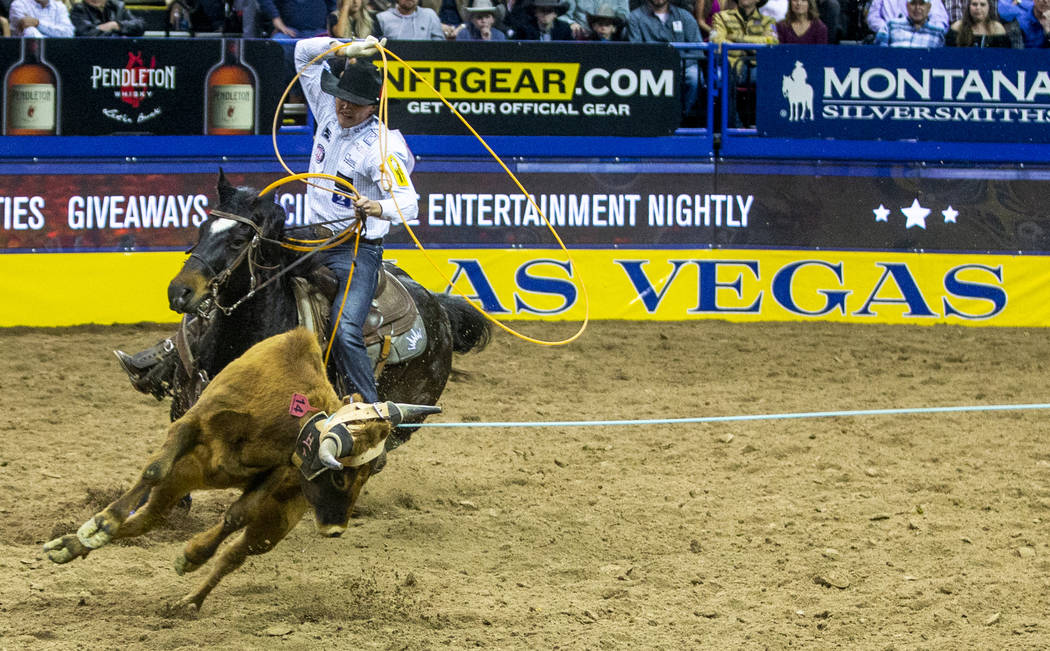 Heeler Wesley Thorp of Throckmorton, Texas, eyes a steer during Team Roping at the tenth go rou ...