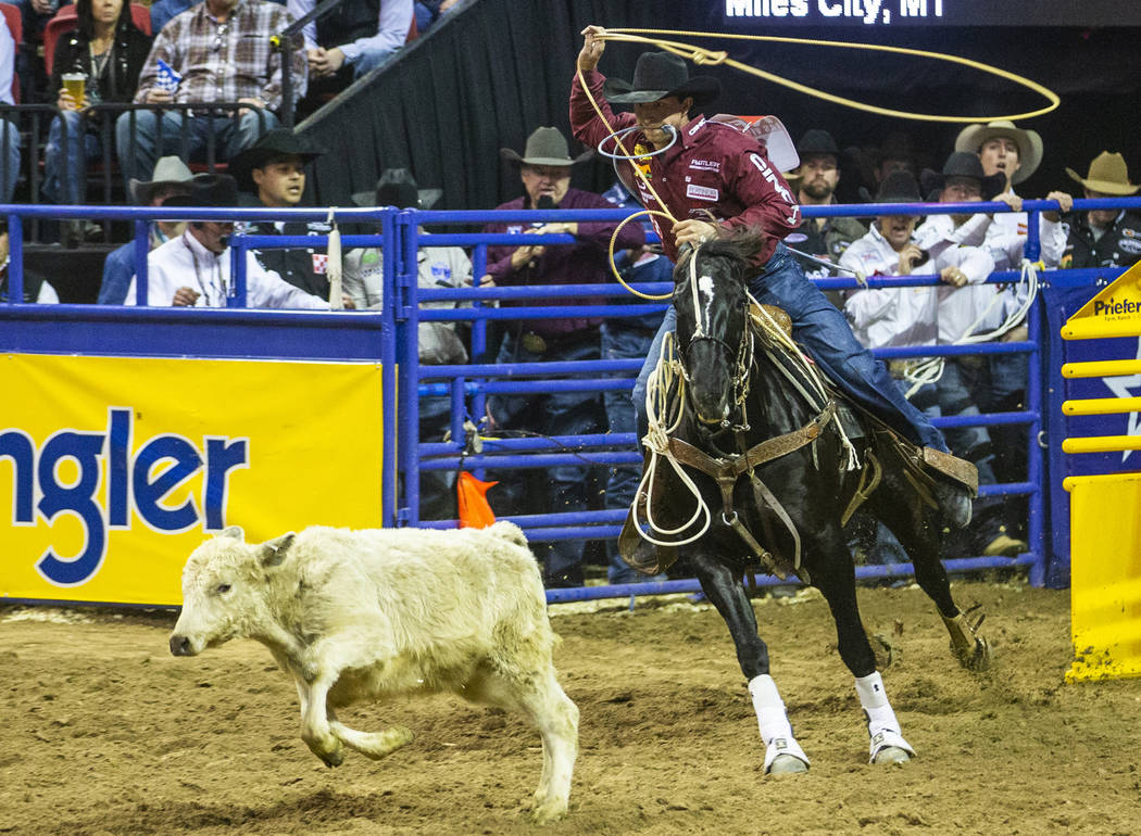 Haven Meged of Miles City, Mont., eyes a steer in Tie-Down Roping at the tenth go round of the ...