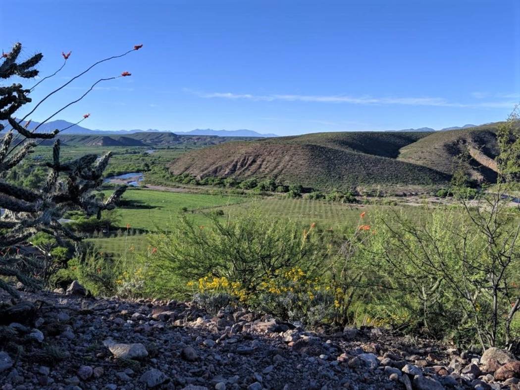 Colony of La Mora in the state of Sonora, Mexico. (Kendra Miller)