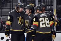 The Vegas Golden Knights celebrate a goal by defenseman Shea Theodore (27) against the Edmonton ...