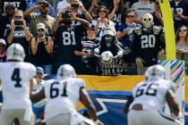 Oakland Raiders fans look on during the first half of an NFL football game against the Los Ange ...