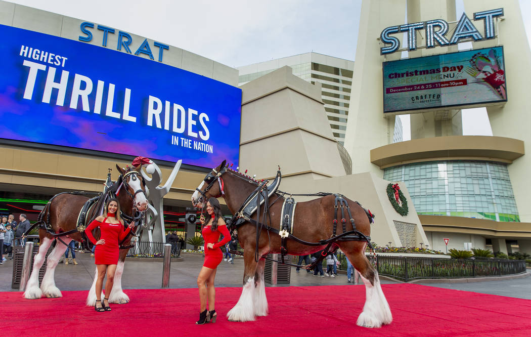 Ashley Gallegos, left, and Cinthia Meza stand with two of the world-famous Budweiser Clydesdale ...