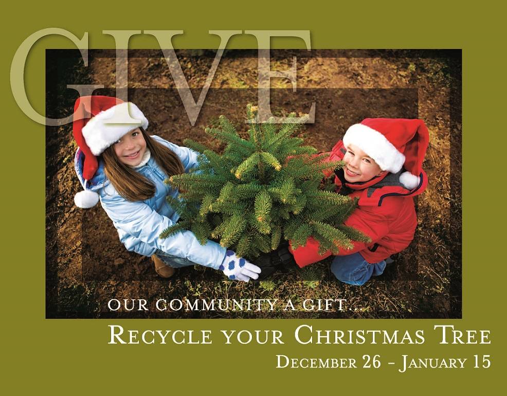 Summerlin residents can recycle their Christmas trees at a new Christmas Tree recycling lot on ...
