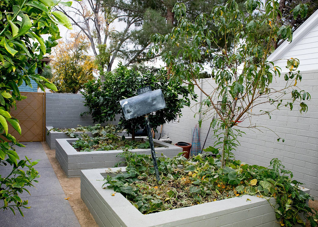 The men kept the mail box as a decoration for their garden beds. (Tonya Harvey Real Estate Mil ...