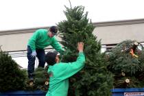 Free Christmas tree recycling is now available at more than 30 Las Vegas Valley locations. (Mic ...