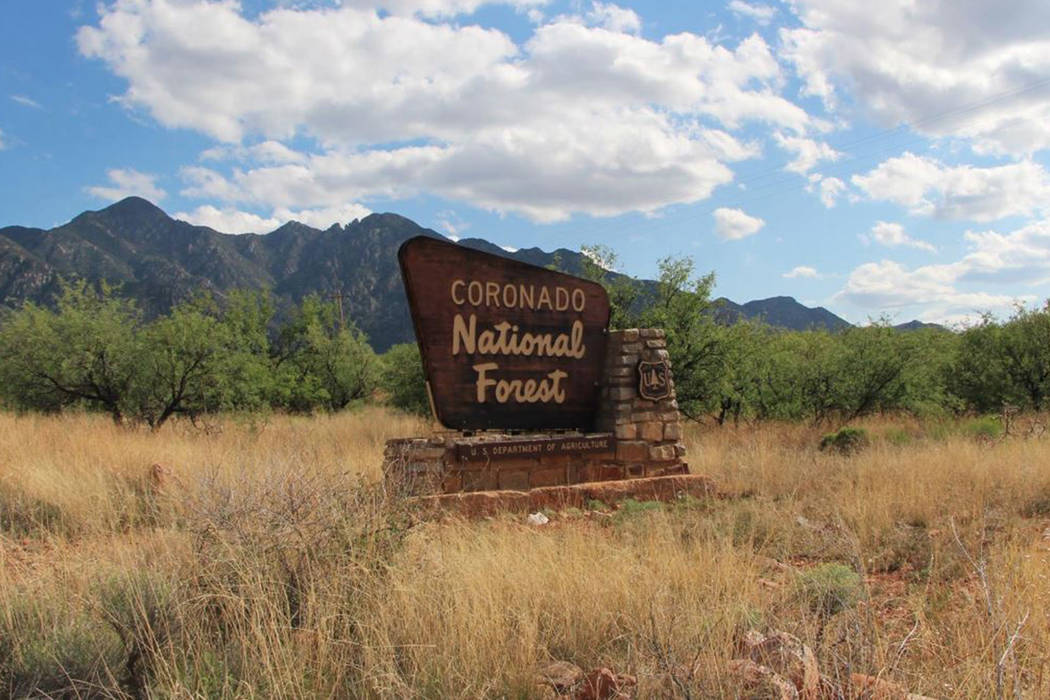 (Coronado National Forest via Facebook)
