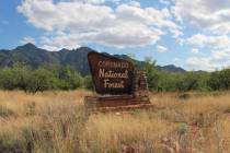 (Coronado National Forest via Facebook)