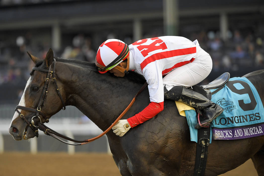 Who were horse racing’s brightest stars in 2019? Las Who were horse racing’s brightest stars in 2019? Las