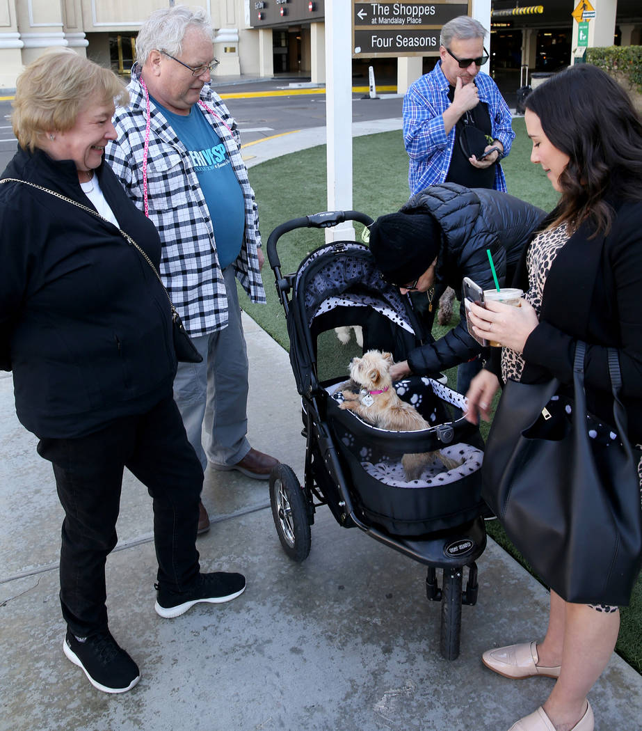 Terry and Tom Woltjen, of Chicago, with Tinker Bell and Tulip, visit Director of Hotel Operati ...