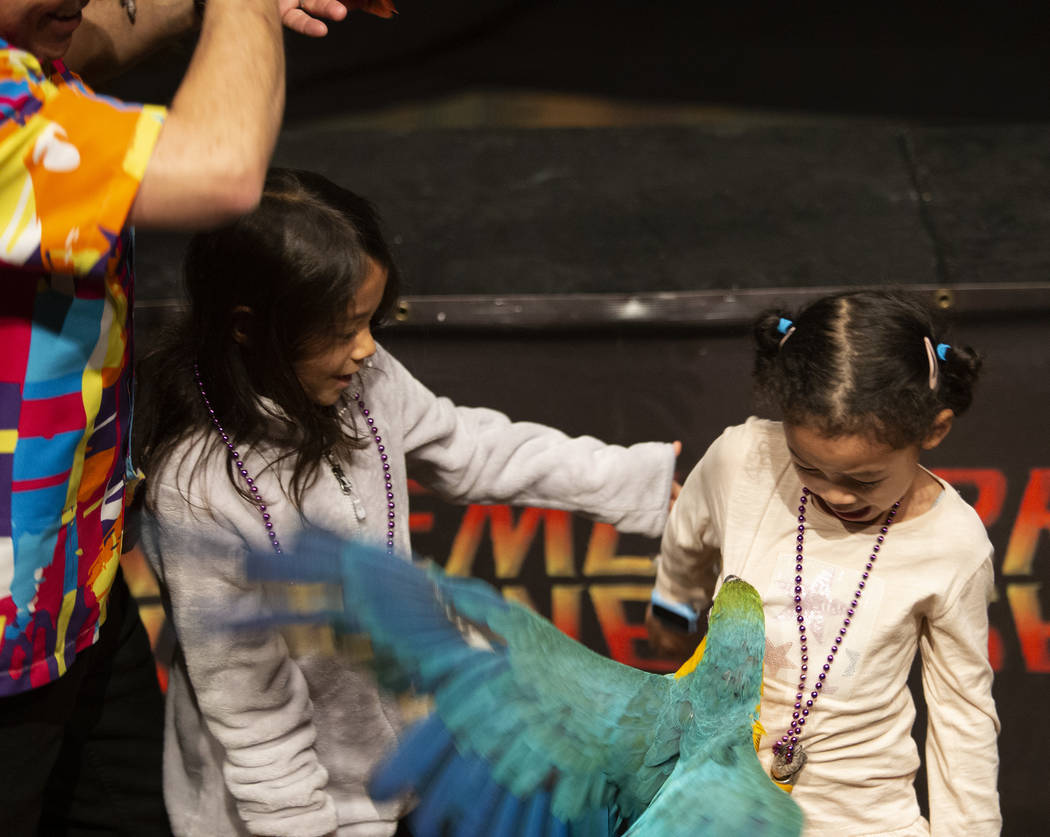 Hanna Cooper, 3, right, screams because a parrot grabs hold off her shirt as her sister, Raya C ...