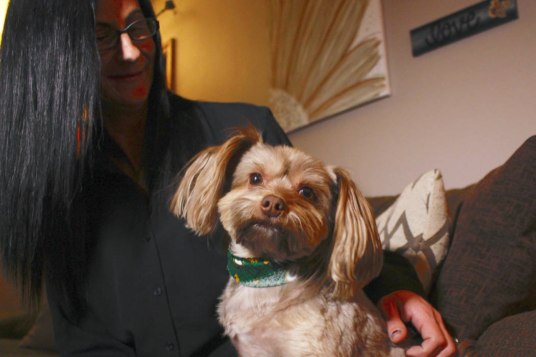 In this Nov. 5, 2019 photo, in St. Francis, Wis., Amy Carter looks at her Yorkshire terrier-Chi ...