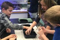First graders hold a sea star Jan. 16, 2020 at McDoniel Elementary School's marine lab in Hende ...