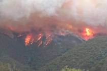 DELWP Gippland via AP