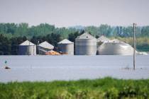 In this May 10, 2019, photo, grain bins belonging to Brett Adams are surrounded by flood waters ...