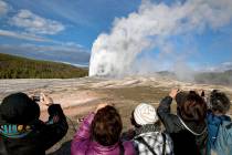 Tourists photograph Old Faithful erupting on schedule late in the afternoon in Yellowstone Nati ...
