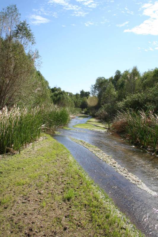 Hiking and birding are two of the most popular activities at the Hassayampa River Preserve. (De ...