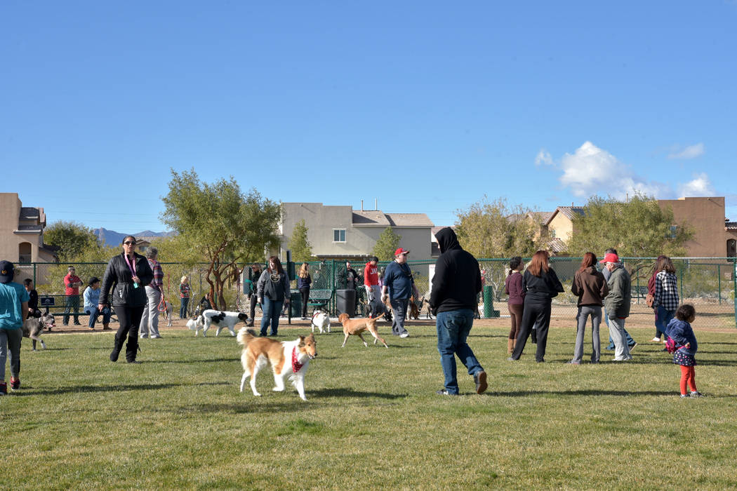The new dog park at Nathaniel Jones Park at Mountain’s Edge welcomed its first dogs and their ...