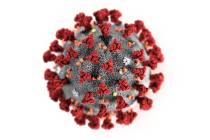 This illustration provided by the Centers for Disease Control and Prevention in January 2020 sh ...