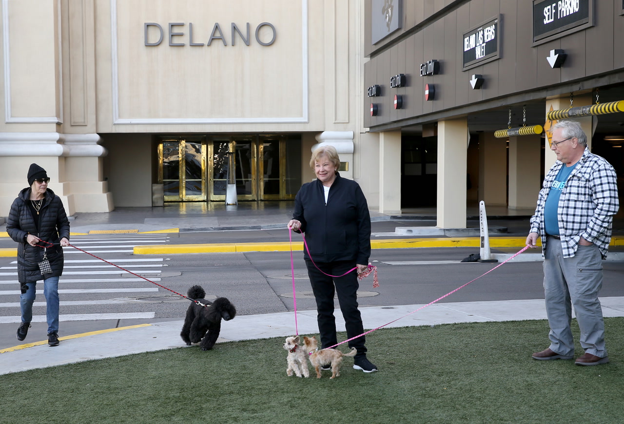 Las Vegas hotels more accepting of dogs, pets — VIDEO Tourism Business